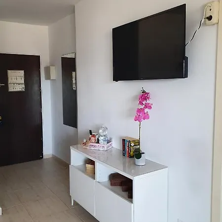 Estudio El Albero Integrado En El Edificio Pyr Centrico Y En Primera Linea De Playa