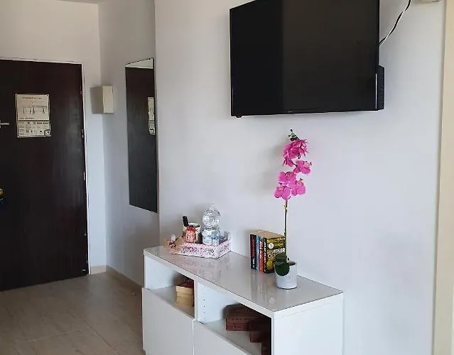 El Albero Integrado En El Pyr Centrico Y En Primera Linea De Playa